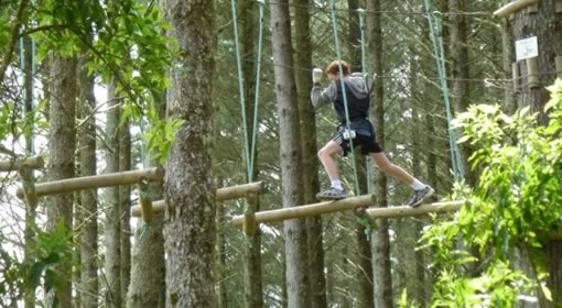 TECT Adrenalin Forest with Tauranga Boys College