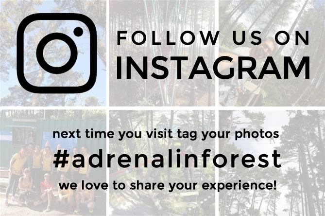 Adrenalin Forest Adventure Park High Ropes is now on Instagram