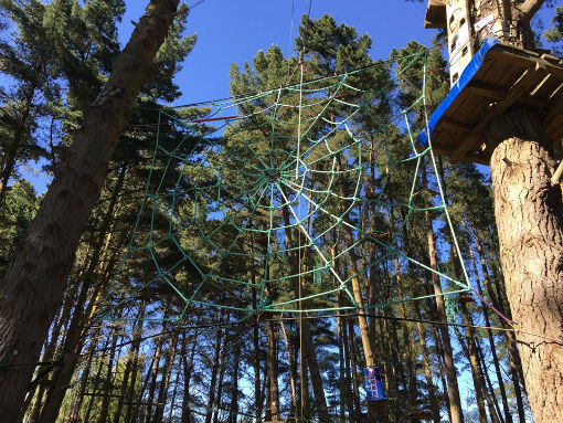The new spider web at Adrenalin Forest - Christchurch Attactions