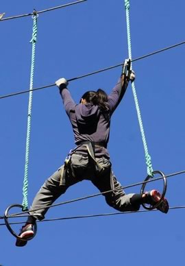 Things to do in Christchurch - Adrenalin Forest