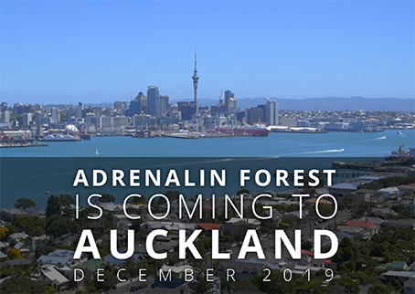 Adrenalin Forest is coming to Auckland