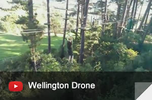 Adrenalin Forest Wellington Drone Video